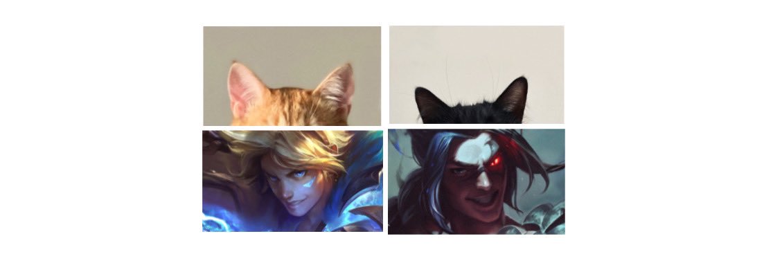 il' ✨'s banner