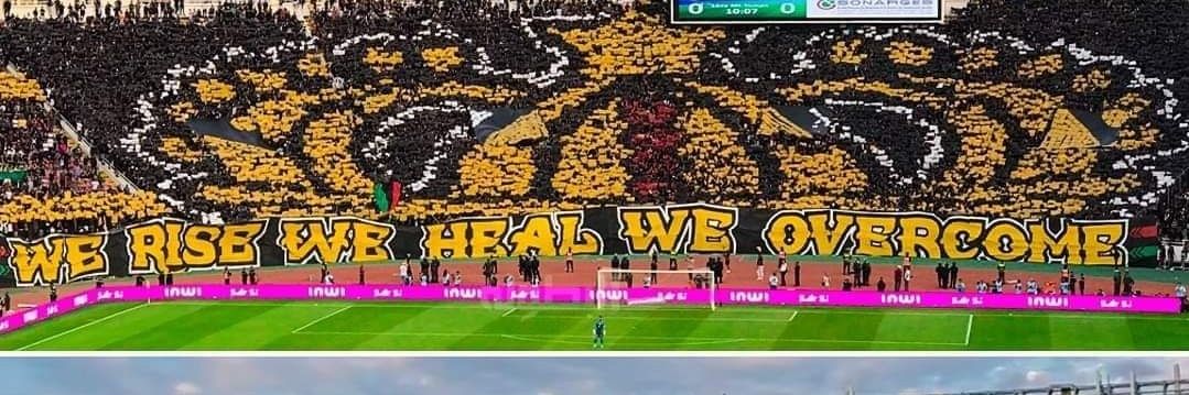 ❤🖤💚AMODO.'s banner