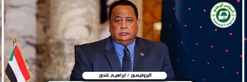 Prof. Ibrahim Ghandour's banner