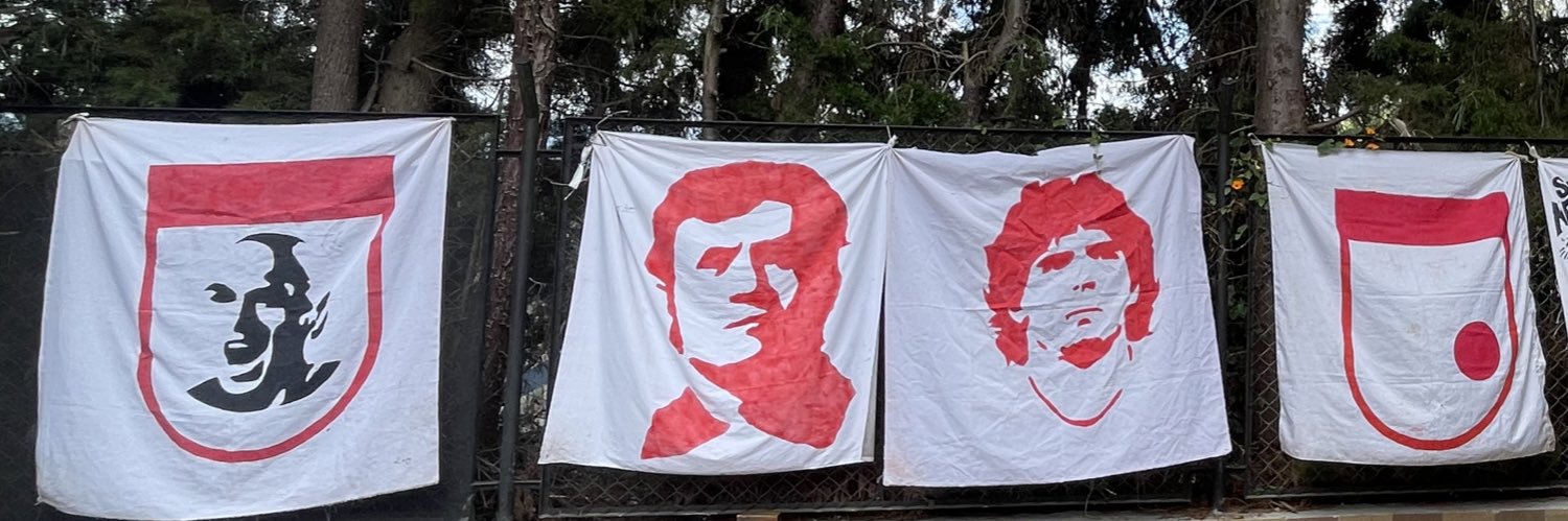 LaPieldeSantaFe's banner