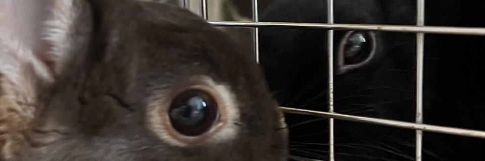ほほえみり's banner