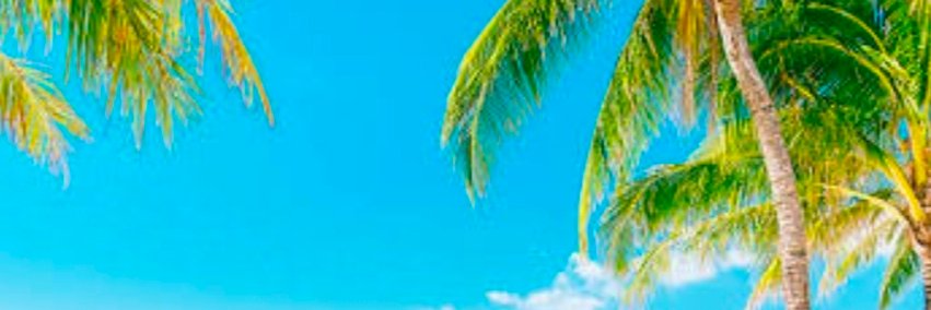 🤷🏻‍♀️'s banner
