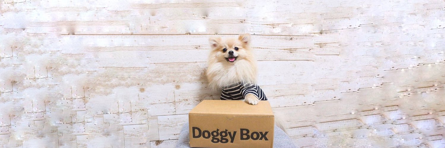 Doggy Box(ドギーボックス)'s banner