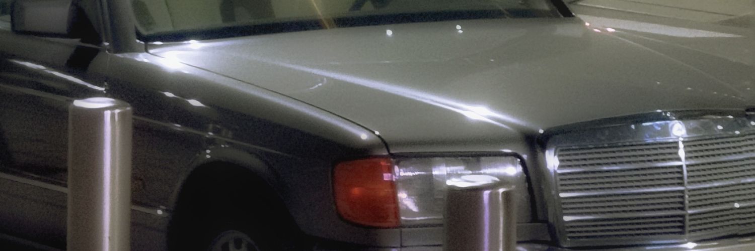 MicheTN's banner