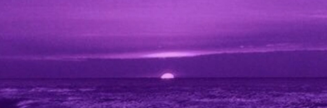 The Drop Sound Radio Show 🥢⁷💜 @thedropsound's banner