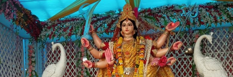 Dr.Nisha dhurvey's banner