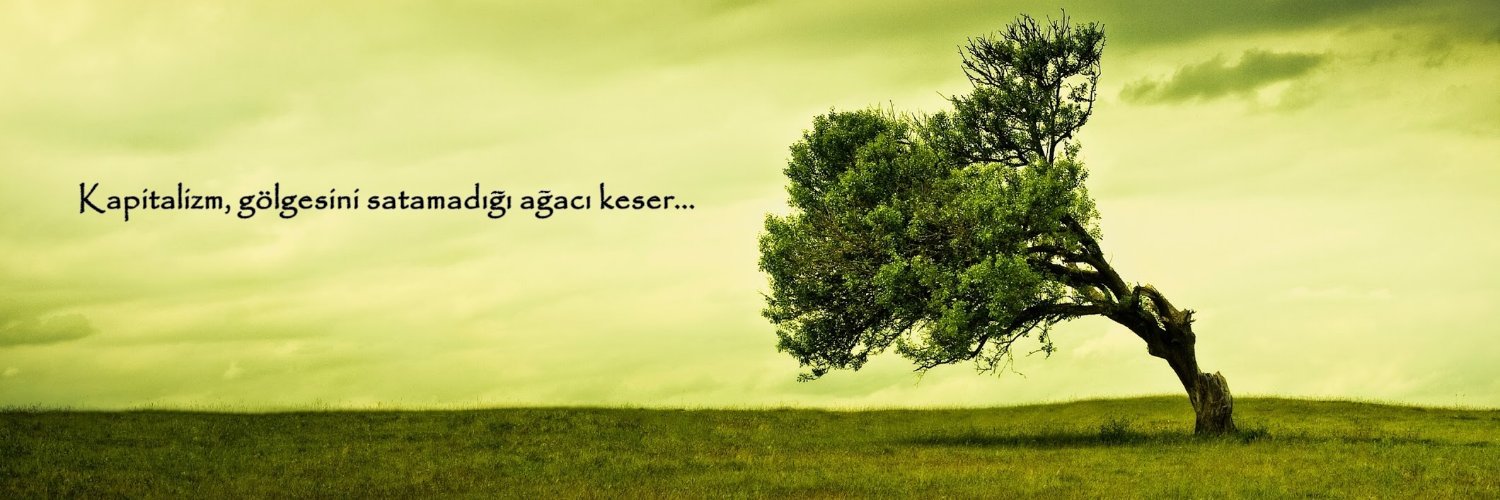 Kadir Koçak's banner