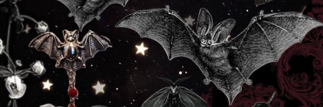lauren's banner
