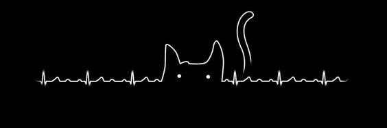 داداشش's banner