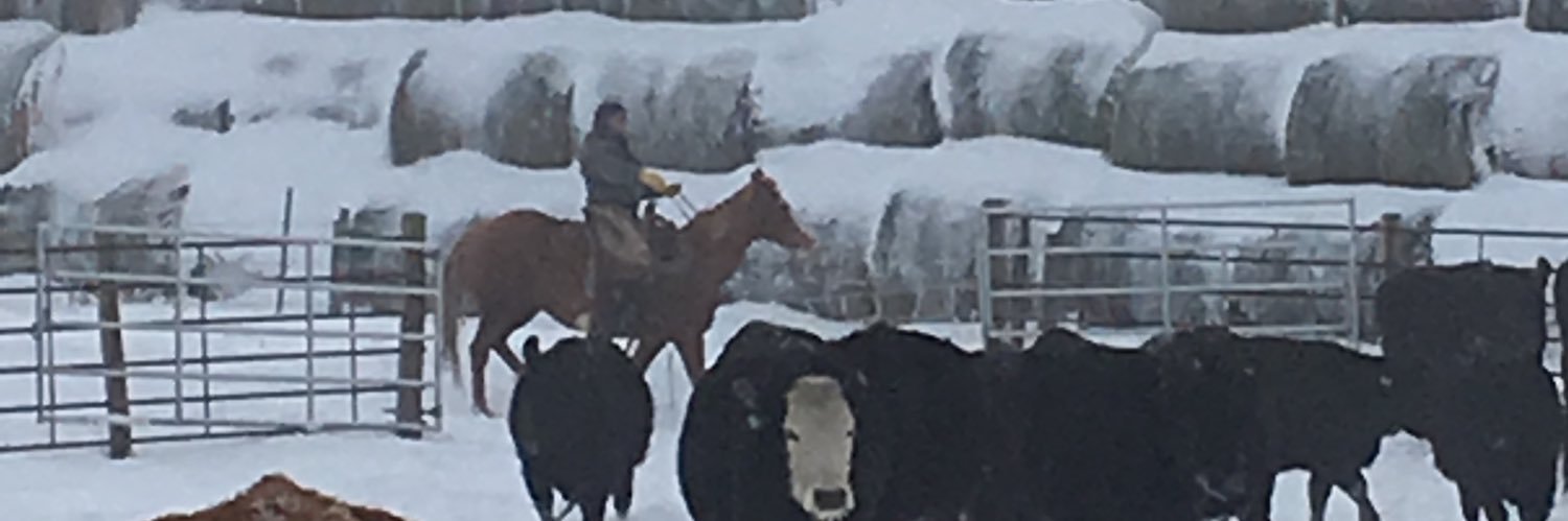 Curtis Fladager (angrycowboy)'s banner