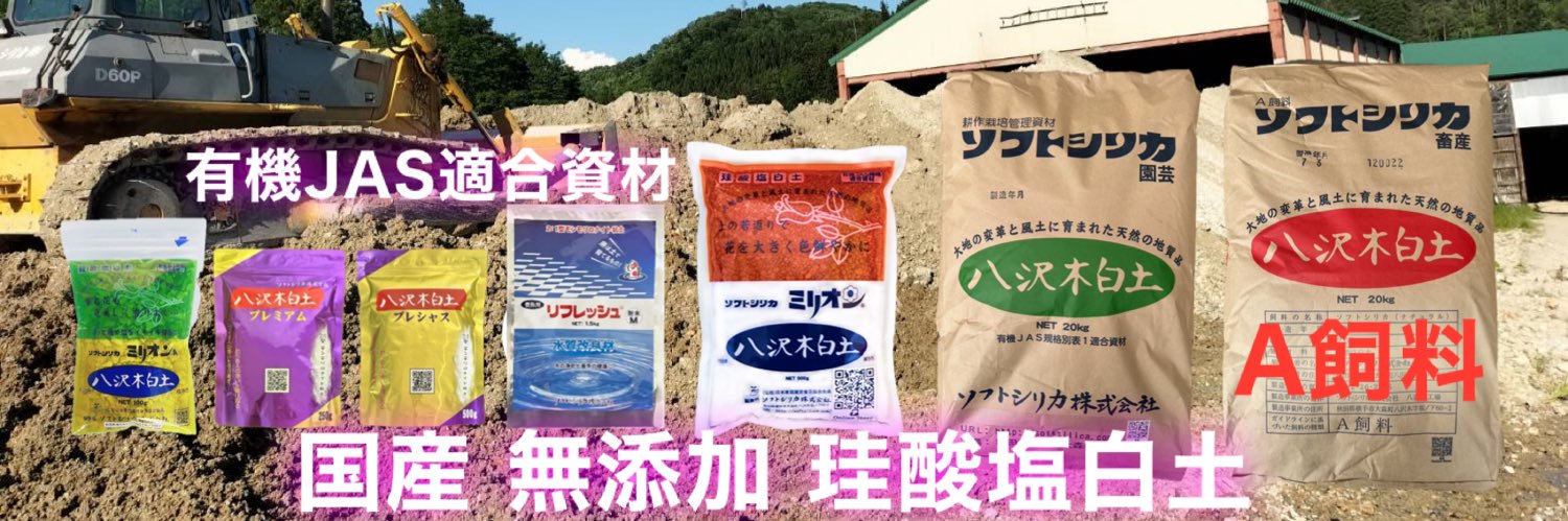 妃サーヤ ソフトシリカ 八沢木白土's banner