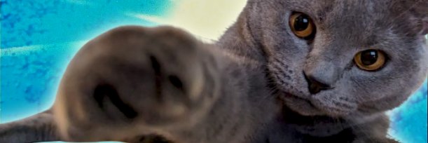 オッズくん's banner