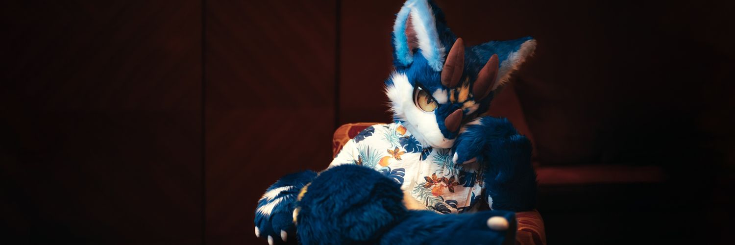 哈克 Huck's banner