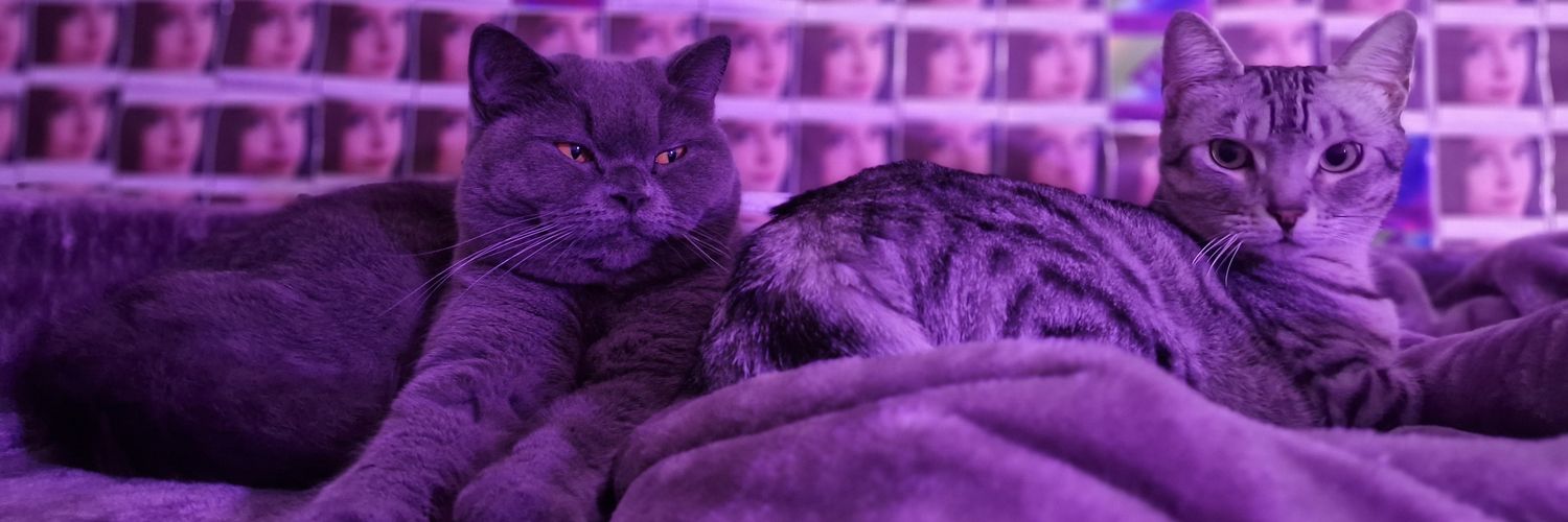 zecookies's banner