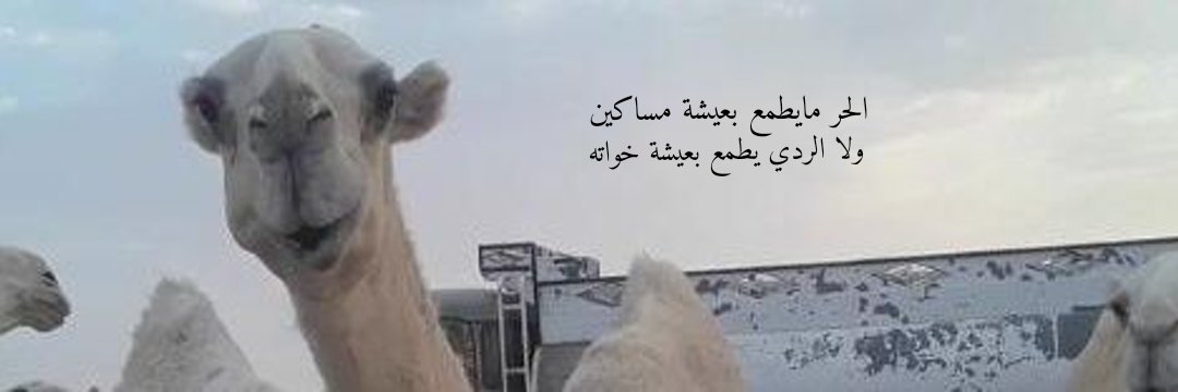 طلال's banner
