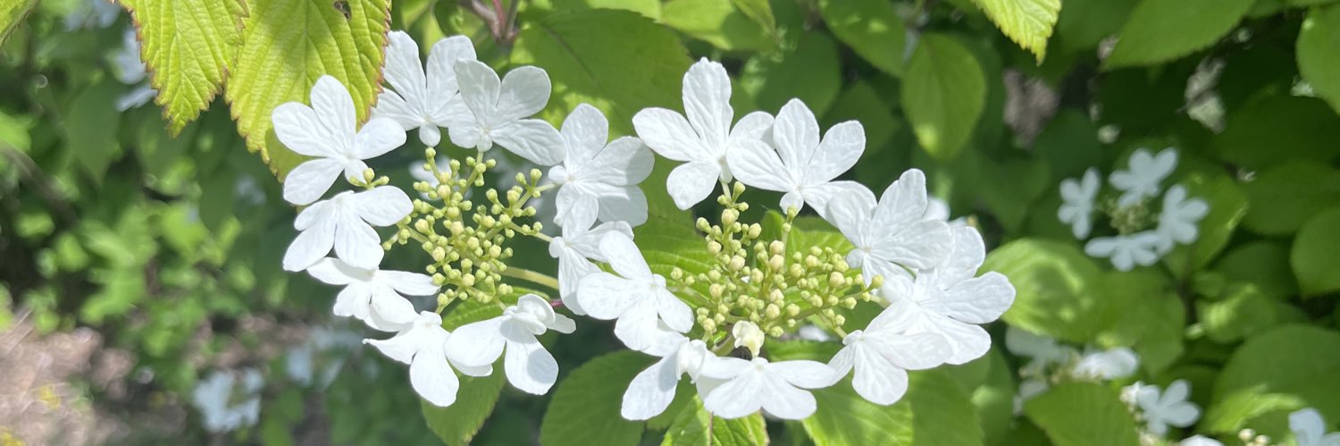 Renata Butryn radna Sejmiku Podkarpackiego's banner