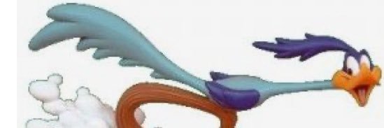 M5 ROADRUNNER beep beep !'s banner