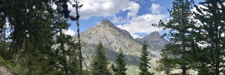 Mt Charleston Mountain Man's banner