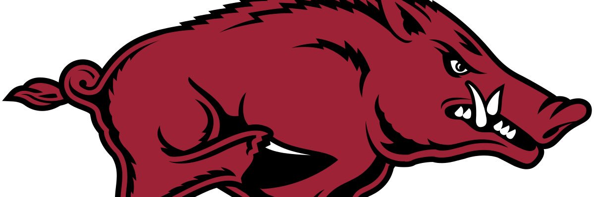 Charlieboyspoppie🐗's banner