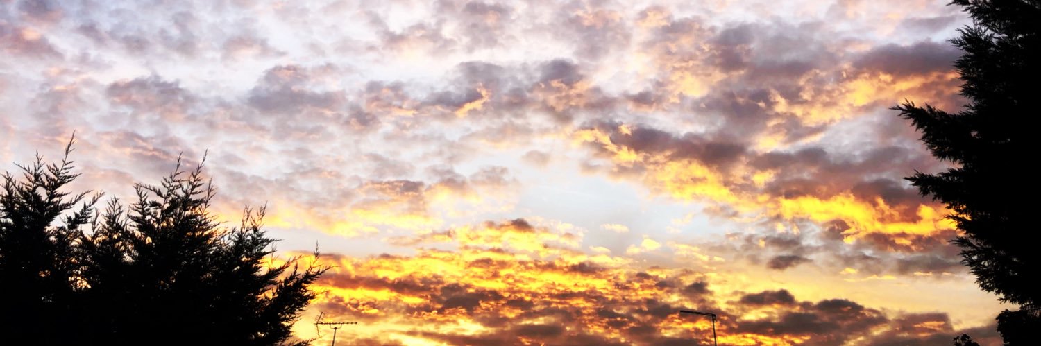 Mooshsub X's banner