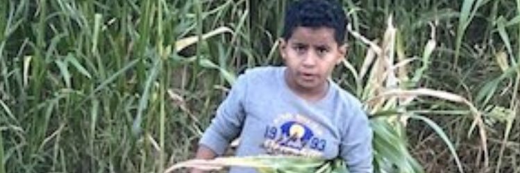 محمد علي الشاعري's banner