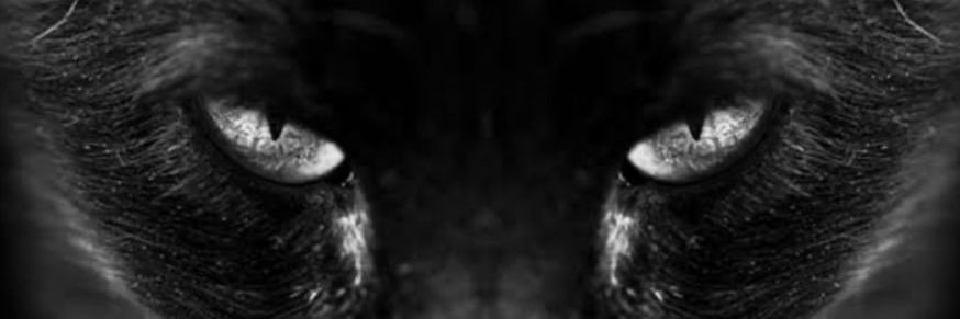 rlk_paizão7's banner