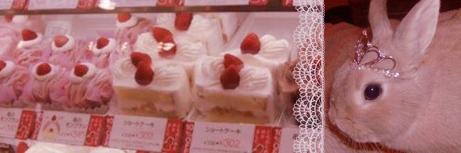 evita!🍓's banner