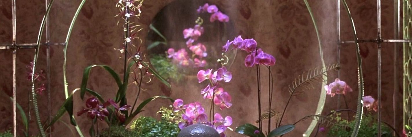 peony🐇's banner