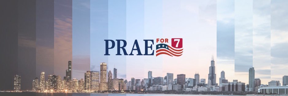 P Rae 🇺🇸🧚🏿's banner