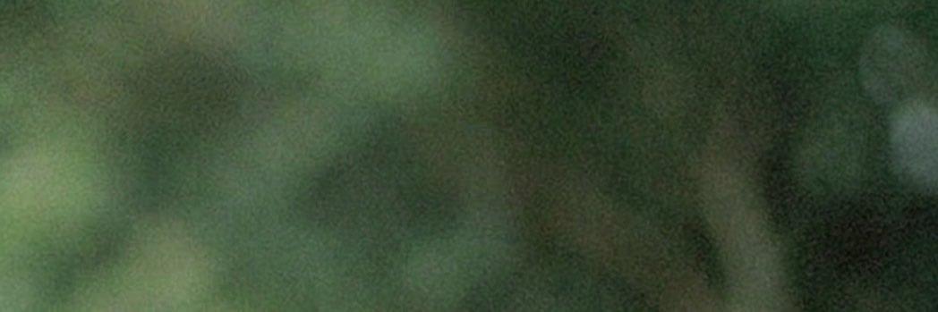 march ᱬ j5's banner
