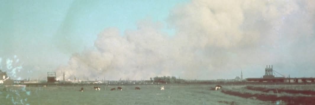 Jan Ooms's banner