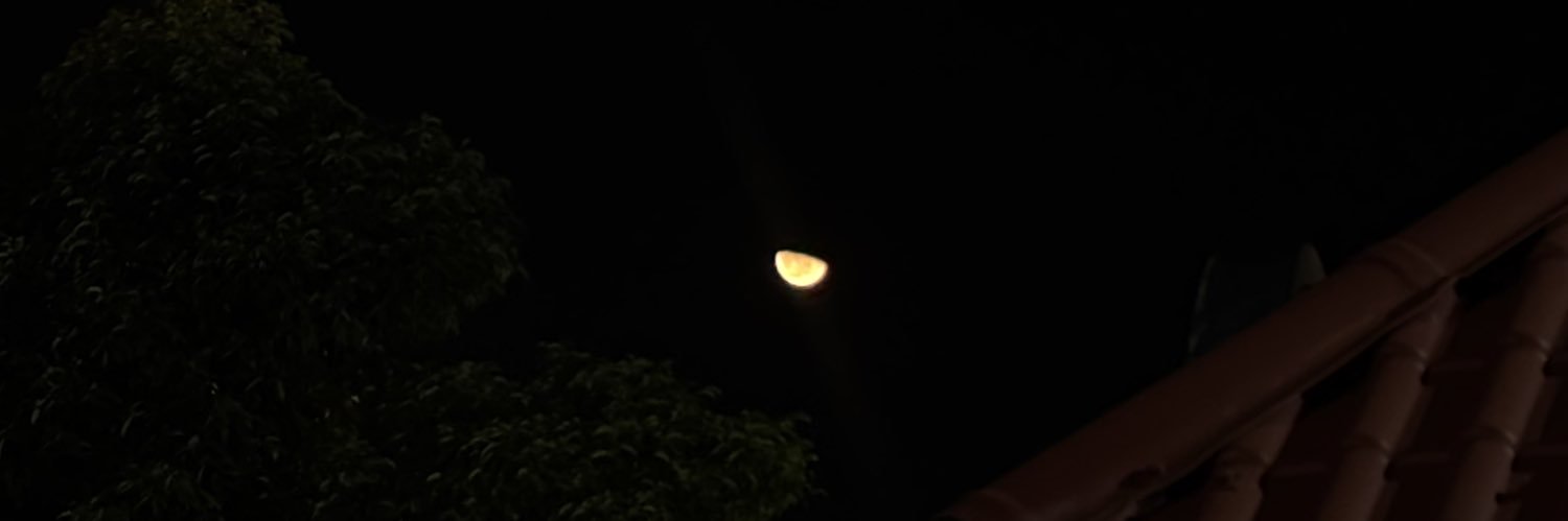 ‎larass's banner