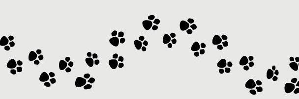 pierced up puppy 𐂯 .ᐟ⸝⸝'s banner