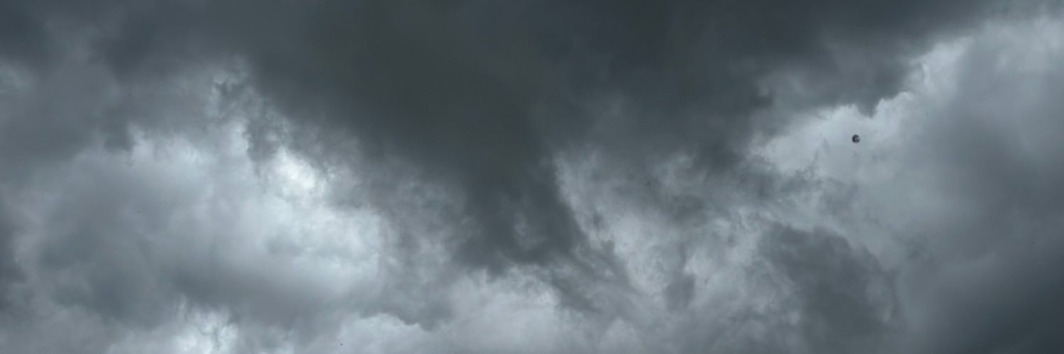 leticia wollff's banner