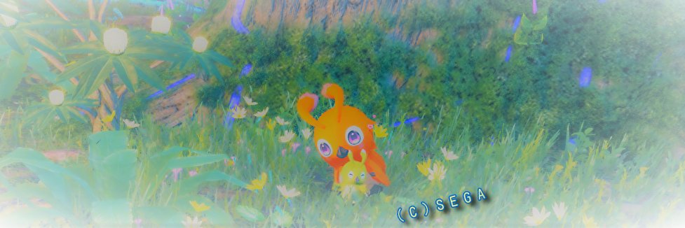 まちゅ＠毎日らっぴ's banner