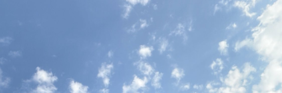 Brumzinho's banner