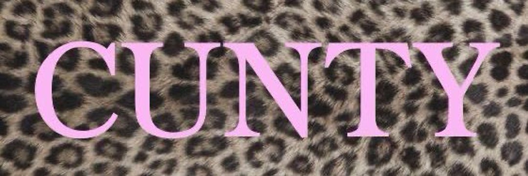 shannon's banner