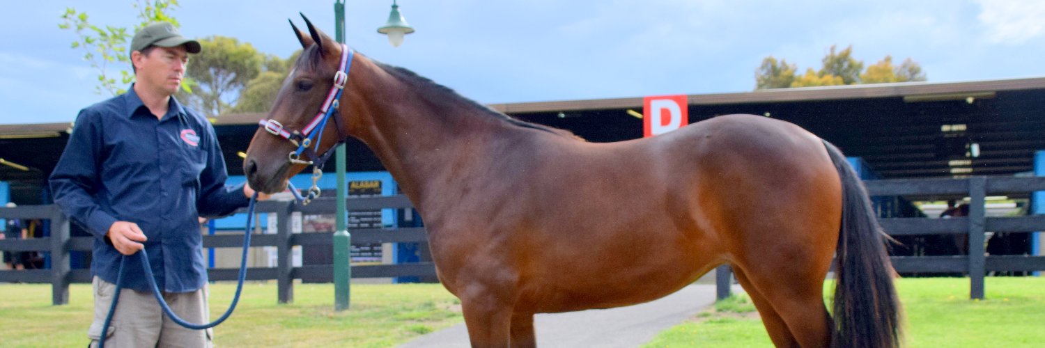 NIXON BLOODSTOCK's banner