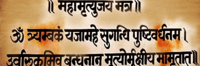 Shikha Jaiswal (Modi ka Parivaar)🇮🇳🇮🇳's banner