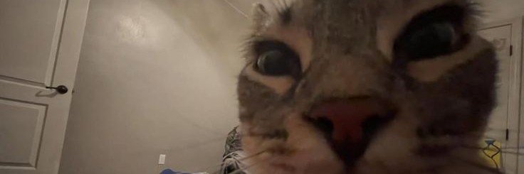 Khami 🐱's banner