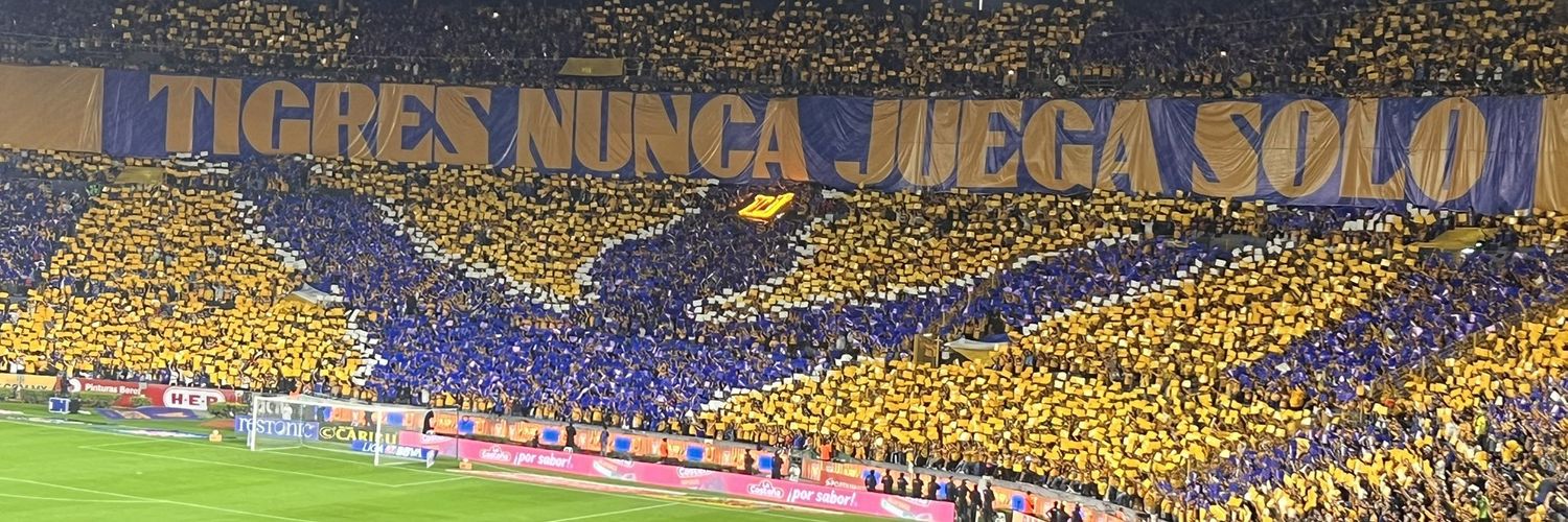 Ileana Salgado's banner