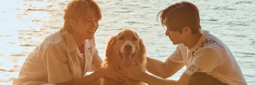 FilmMyZee 🌼's banner