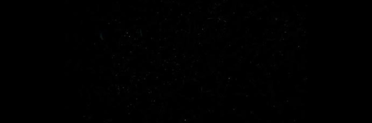 roséyoncé.'s banner