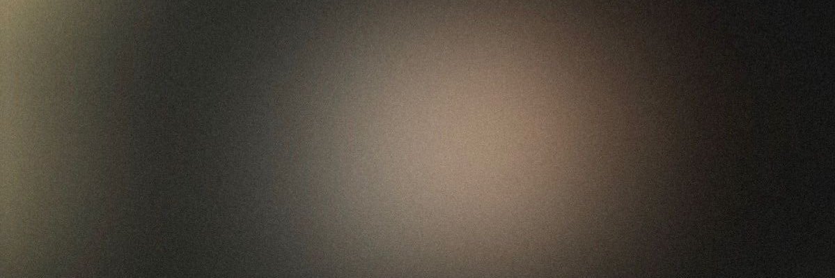 lauren 🍂's banner