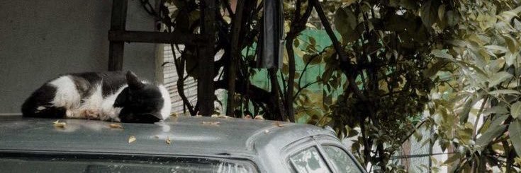 𝓐's banner