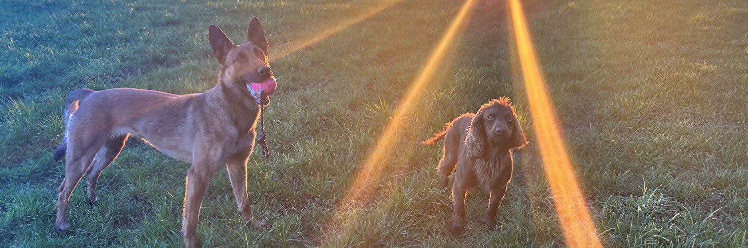 PD Zero 🐾 👮 (& PD Roost 🌈 🐾)'s banner