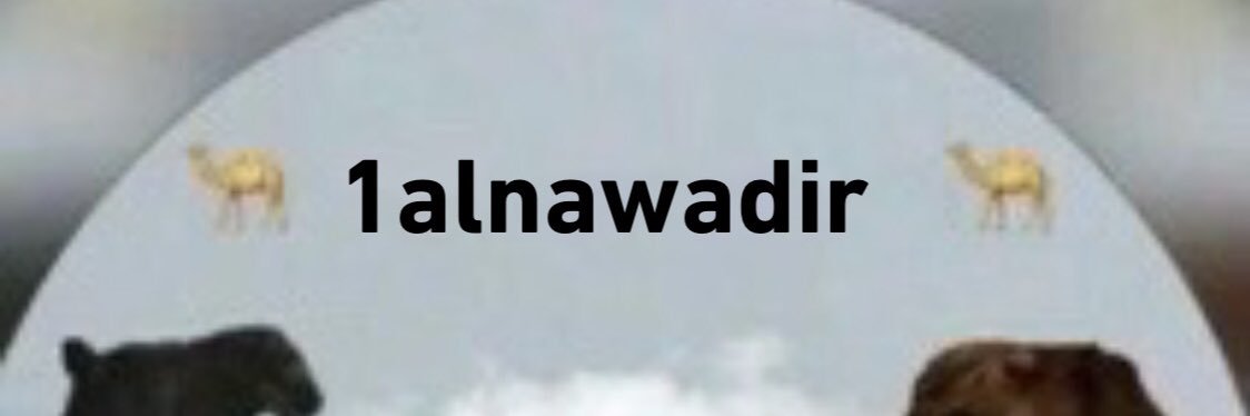 🎖نوادر الإبل🎖(vip)'s banner