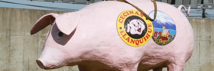 CUCHAMEPOSHO's banner