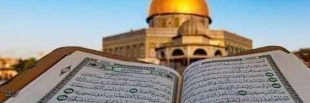 راغب رصد 🇵🇸's banner