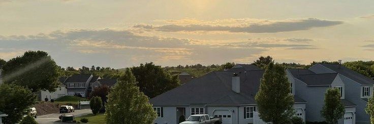 Lisa's banner